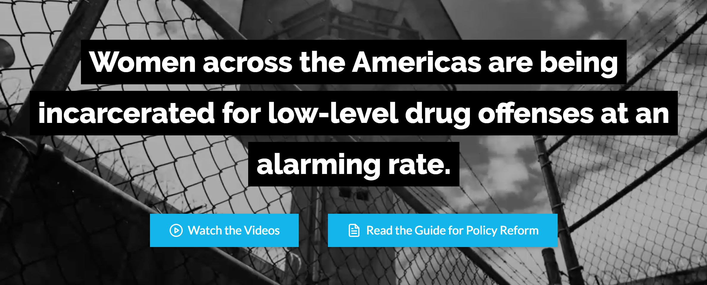 A screenshot of a microsite made for WOLA's women and drug policy program